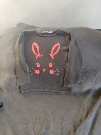 Pull lapin