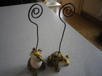 PORTE-PHOTOS GRENOUILLES