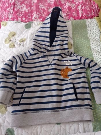 Sweat capuche Zara 18 24 mois