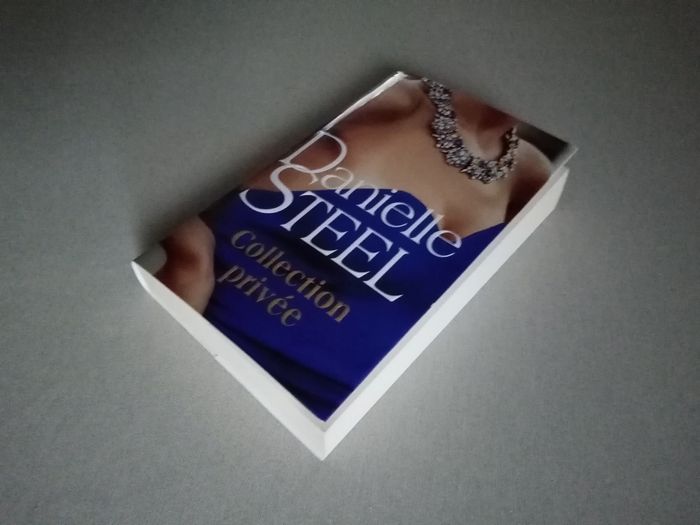 Livre : Steel - photo numéro 8