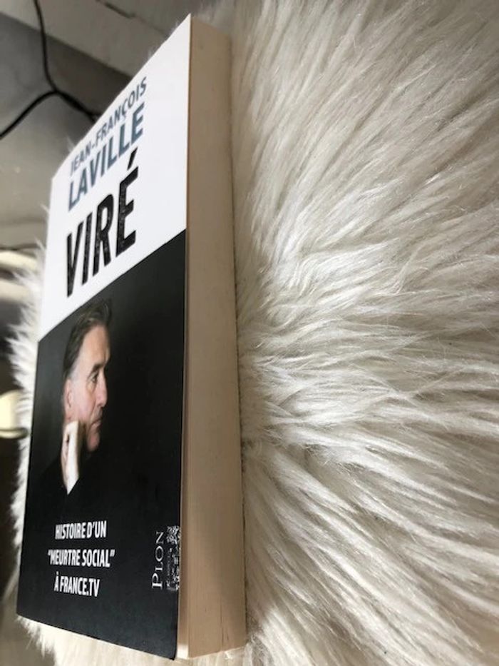 Livre Viré de Jean-François Laville - photo numéro 4