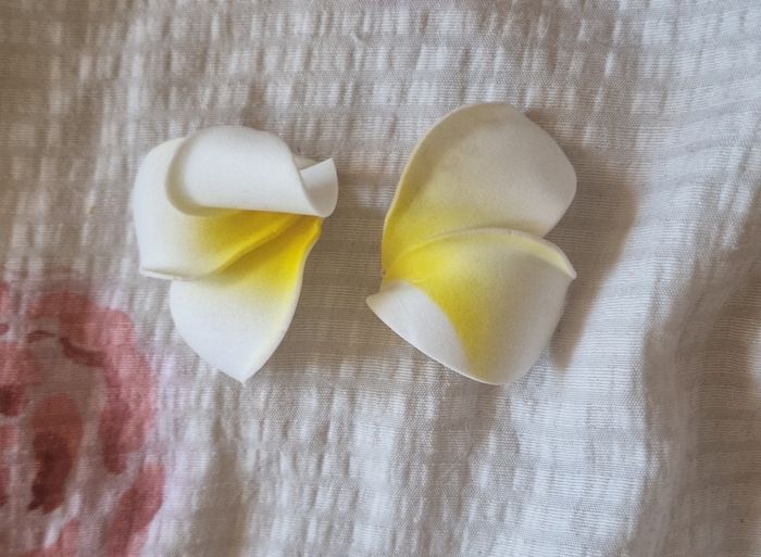 Cosplay Madame Bovary - photo numéro 7