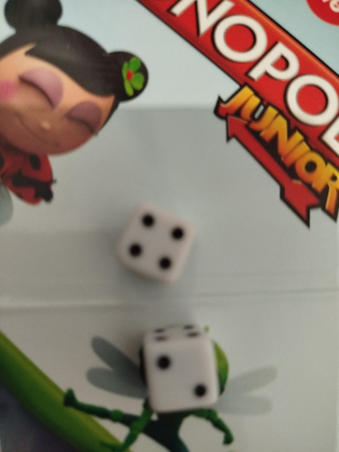 Monopoly - photo numéro 5