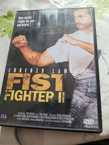 Fist fighter 2