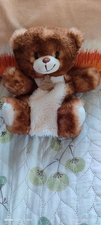 Doudou ourson histoire d'ours 