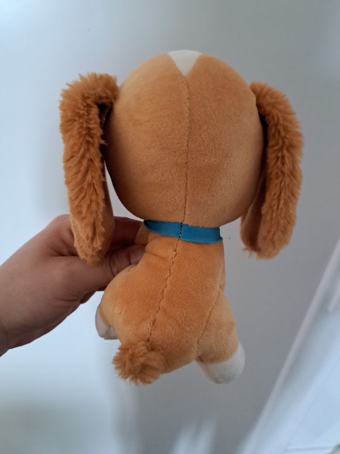 Belle - photo numéro 4