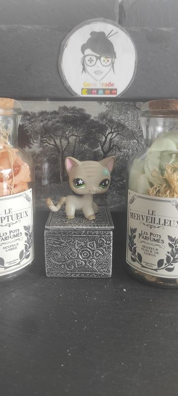 Littlest Petshop Pet Shop LPS Authentic  Authentique cat Shorthair European 483