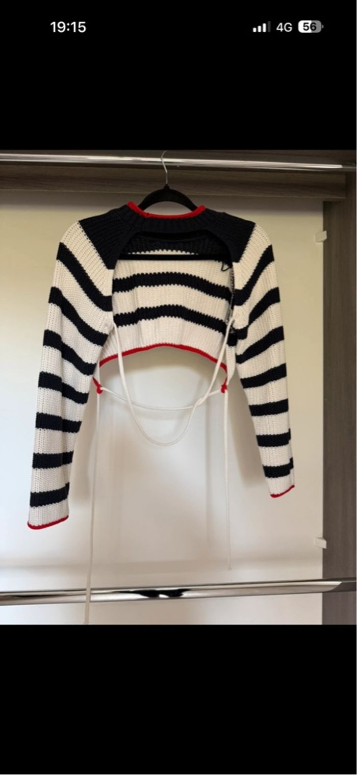 Pull dos nu - photo numéro 2