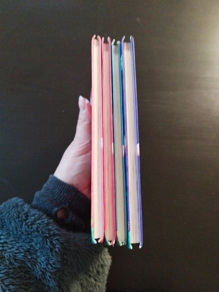 Lot 4 livres Enchantimals - photo numéro 10