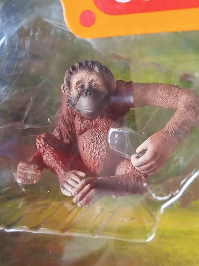 Schleich boîte Wild Life - photo numéro 5