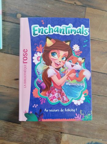Livre enchantimals