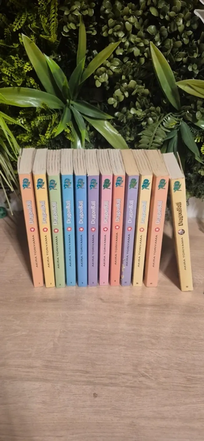 Livre dragon ball