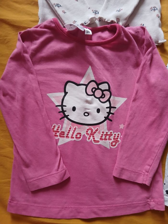 Lot de 4 Tee-shirts ML 24 mois - photo numéro 3