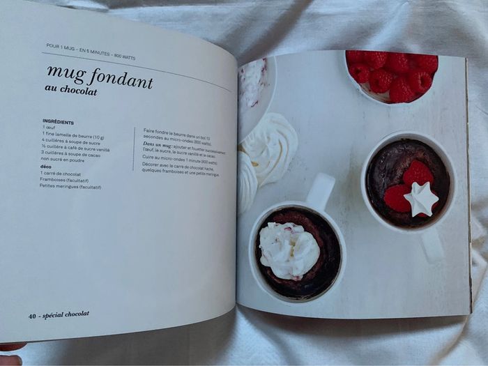 Livres recettes Mug Cakes - photo numéro 5