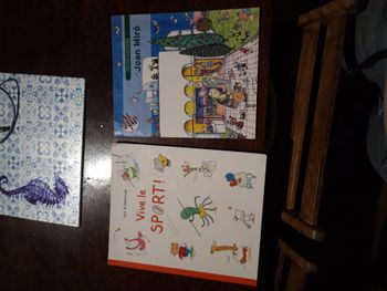 Lot 2 livres enfant 