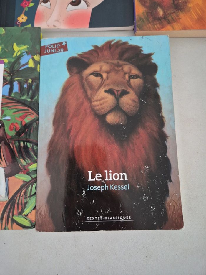 5 livres pour 1 euro - photo numéro 5