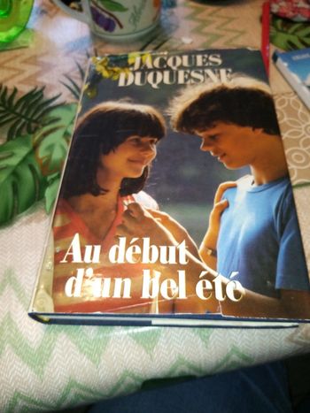 Roman Au début d'un bel été