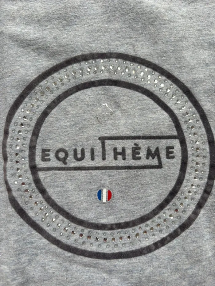 TEE shirt equitème - photo numéro 2