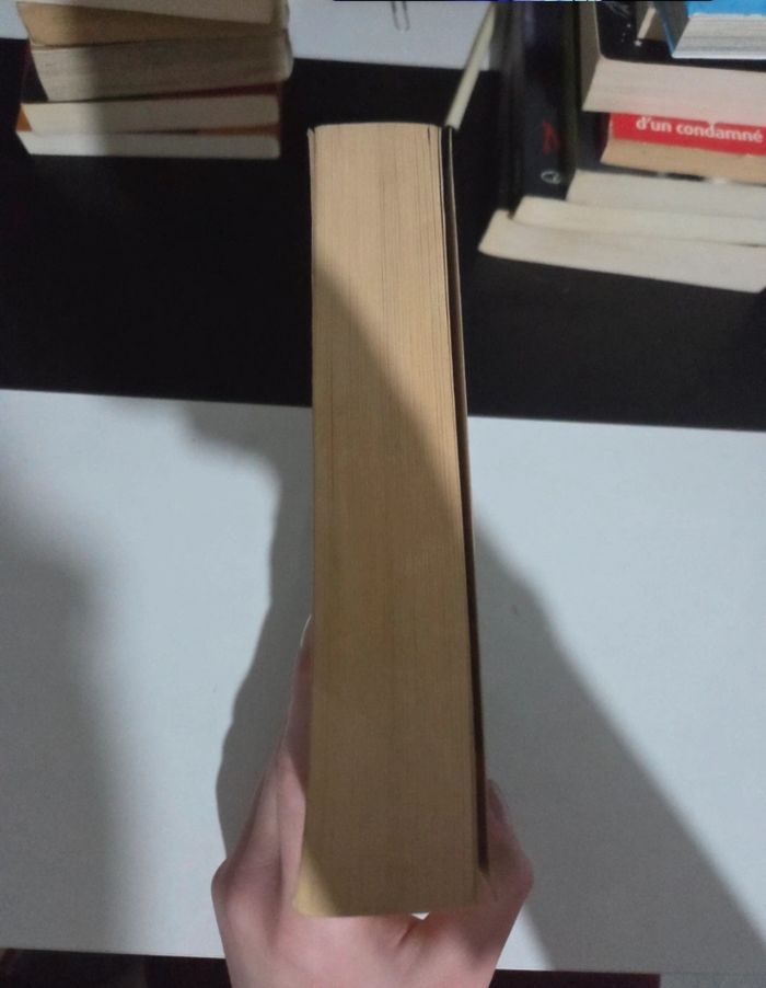 Le labyrinthe tome 1 - photo numéro 4