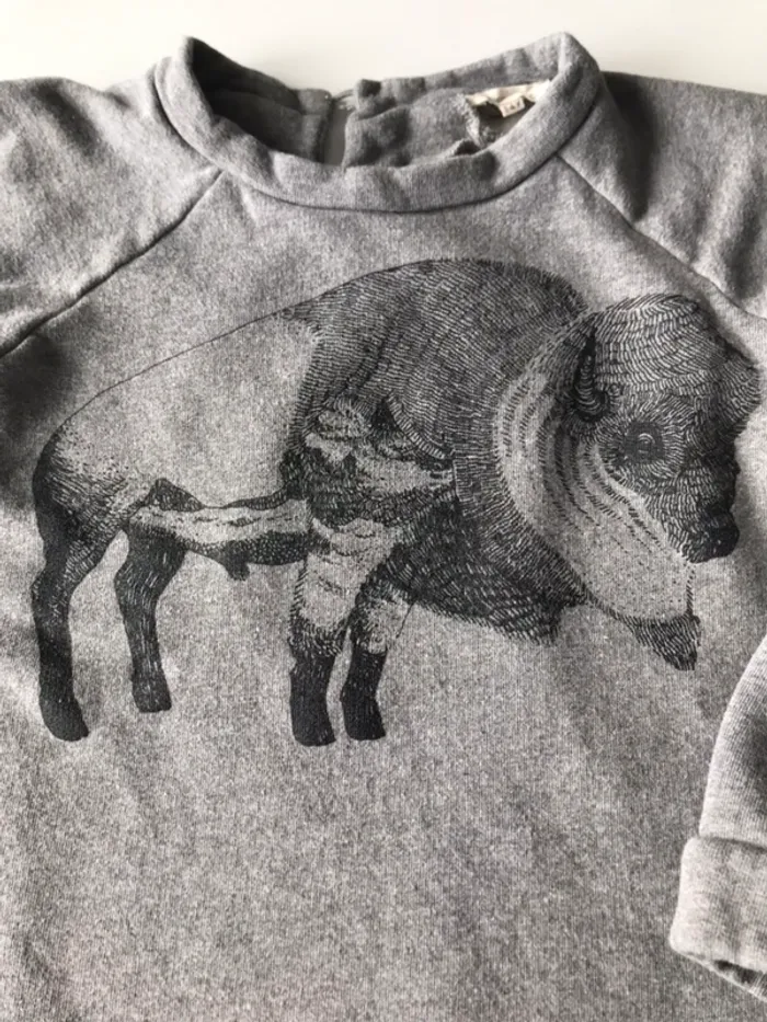 Sweat gris imprime - photo numéro 2