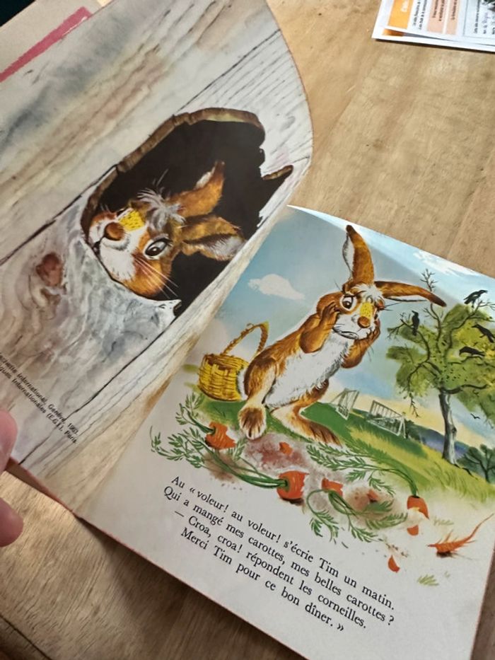 Les albums roses Hachette livre ancien vintage Tim en Ballon Pierre Probst lièvre lapin - photo numéro 4