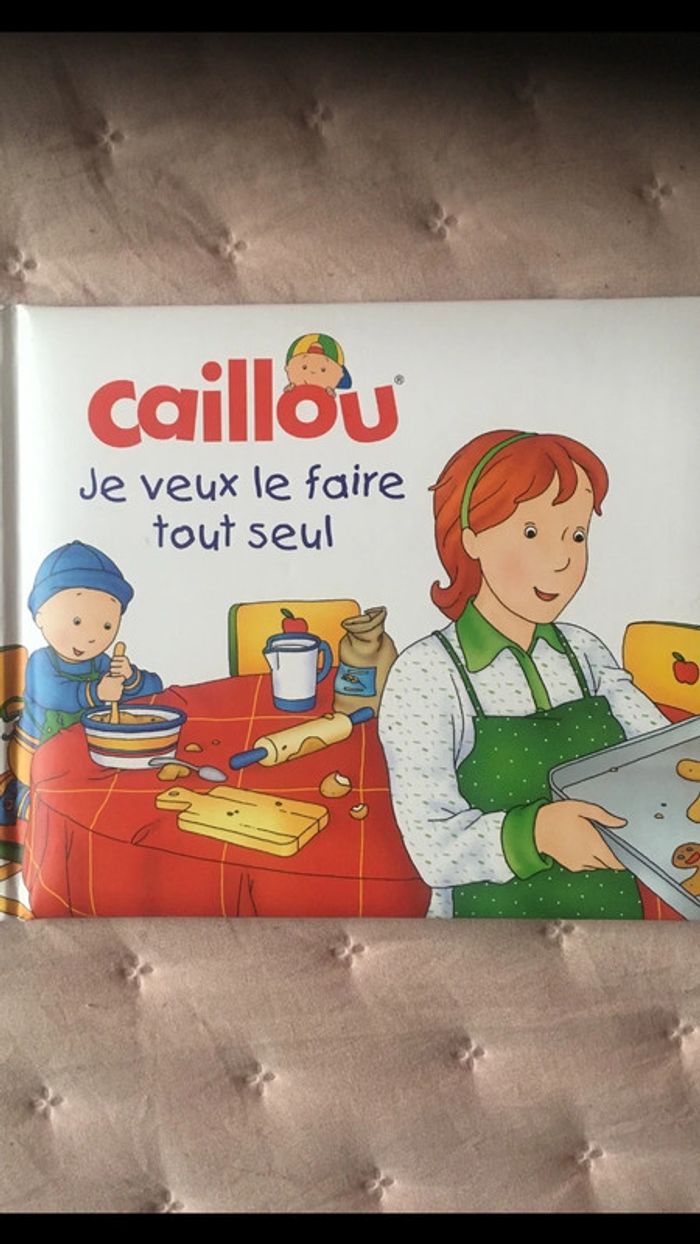 Lot de 3 livres « caillou » - photo numéro 2