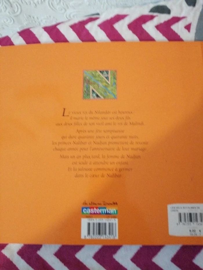 Les deux royaumes de Nilandar - photo numéro 2