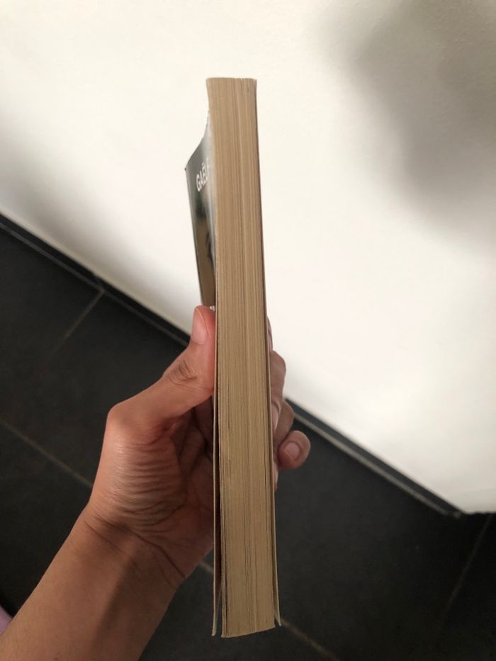 Livre Gaël faye le petit pays - photo numéro 3