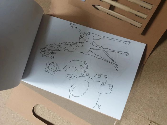 Idée cadeau 🎁- Malette de coloriage NEUF - photo numéro 8