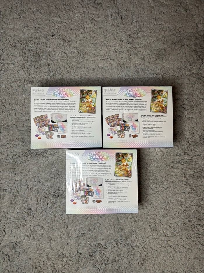 ETB EV8.5 Evolution Prismatique x 3 - photo numéro 3