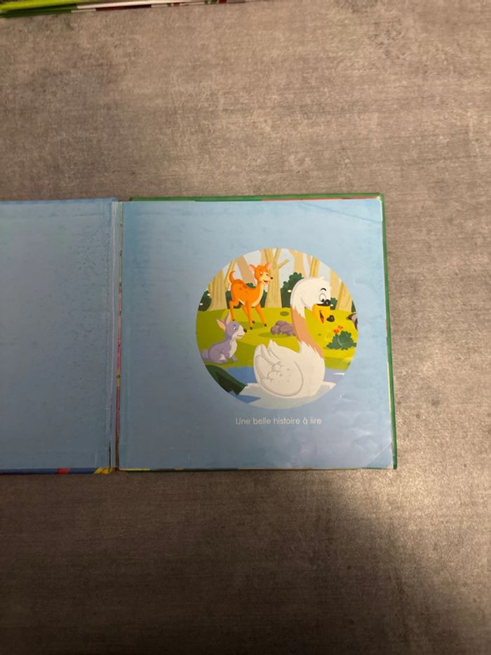 Livre le vilain, petit canard - photo numéro 2