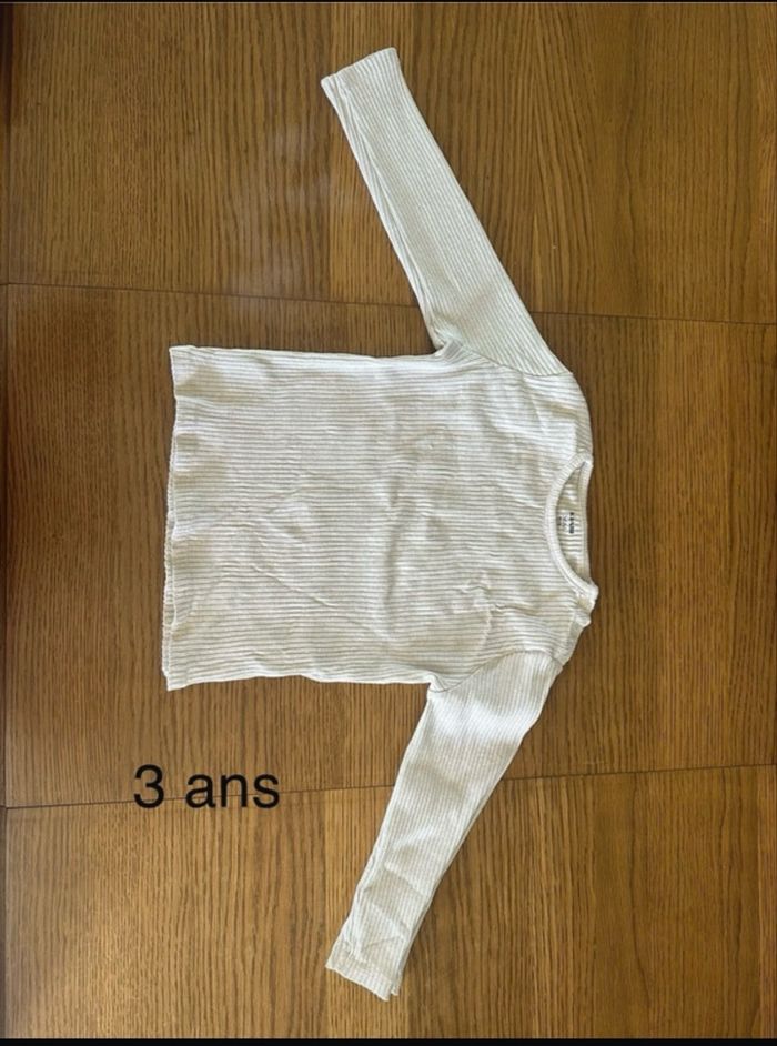 Pulls fin