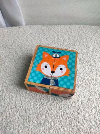 Mes premiers cubes portrait de la forêt - Janod