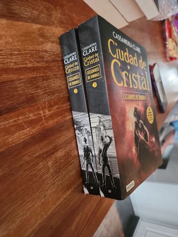 Lot de 2 livres : Ciudad de Cristal