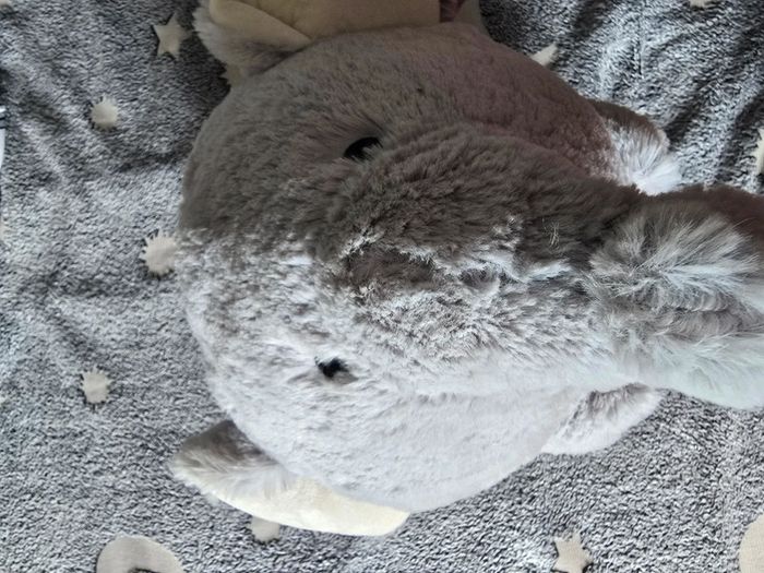 Maxi peluche tirelire éléphant - photo numéro 5