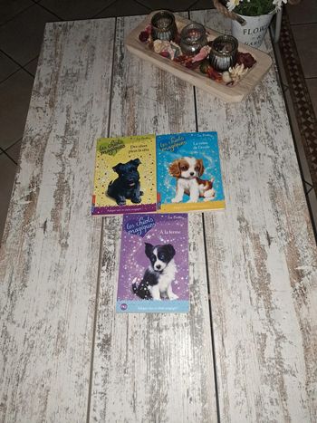 Lot de 3  livres les chiots magiques