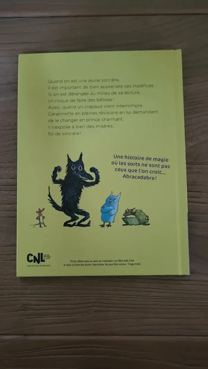 Carabinette la petite sorcière qui n'en fait qu'à sa tête - photo numéro 2