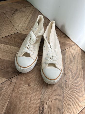 Converses  Springfield