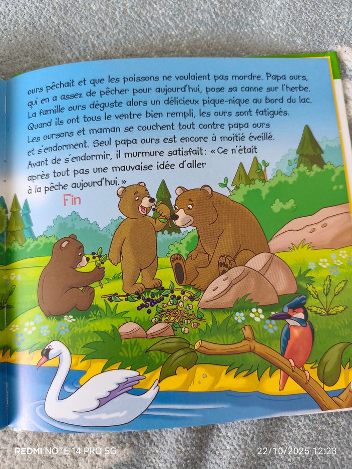 L'ours brun - photo numéro 4