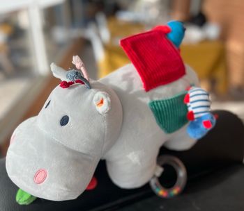 Peluche activité Axel l’hyppo Oxybul