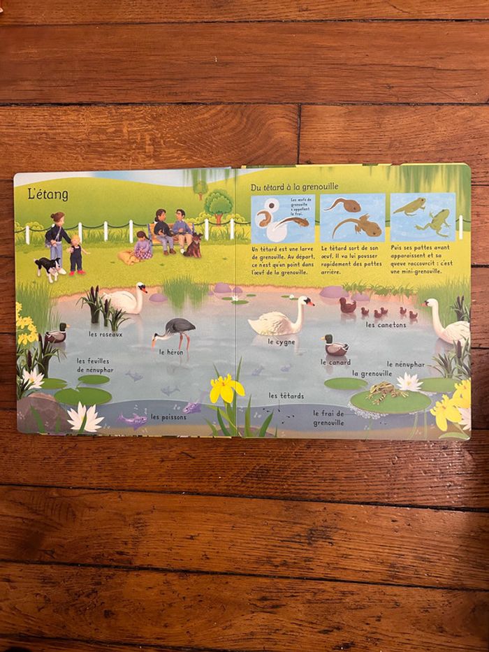 Livre Mon imagier de la nature éditions Usborne - photo numéro 4