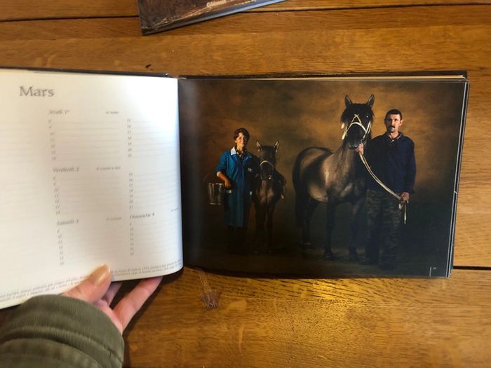 Agenda 2007 chevaux - photo numéro 3