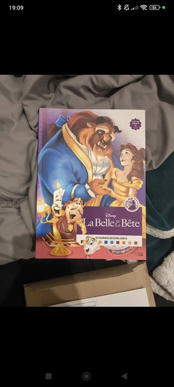 Livre de coloriage mystère la belle et la bête