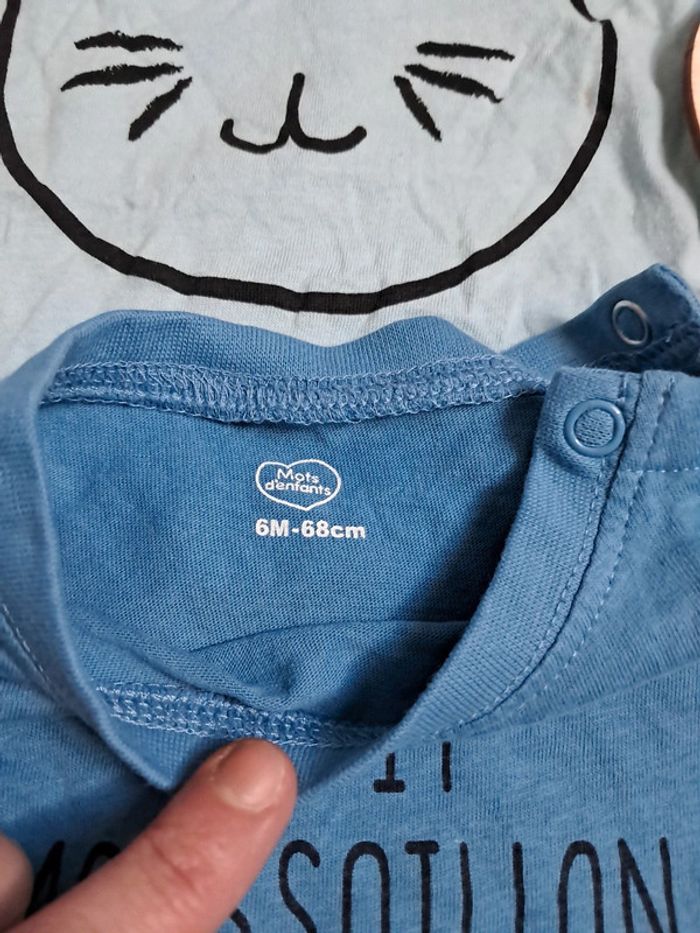 Lot 2 tee-shirts manches courtes - photo numéro 2