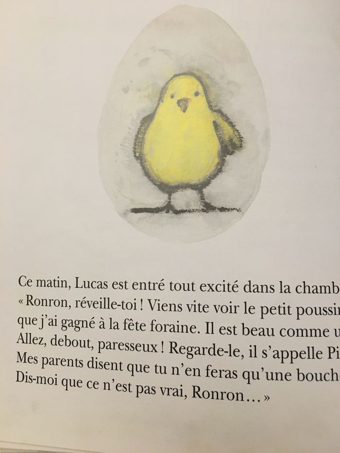 Livre Jaune d’œufs - photo numéro 5