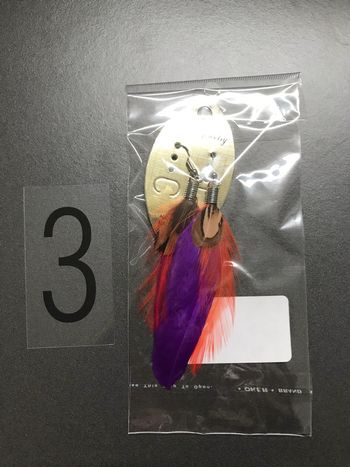 Boucles d'oreilles plumes sioux