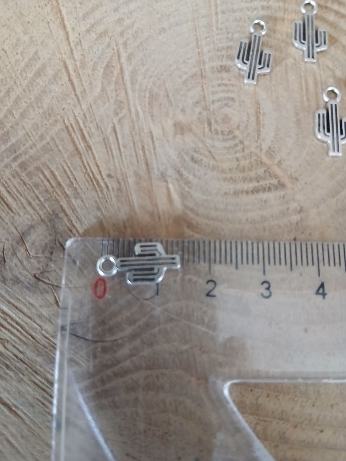 Lot de 22 breloques cactus argenté - photo numéro 3