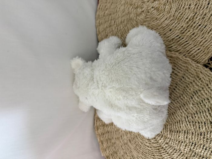 doudou ours polaire - photo numéro 4