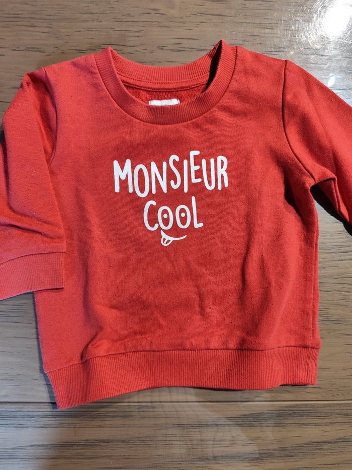 Lot pulls et gilets taille 9 mois - photo numéro 4