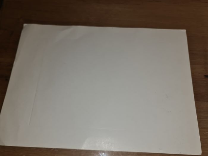 Neuve, affiche d'une impression ancienne d'une reproduction aspect patiné, pour être mise en cadre - photo numéro 4